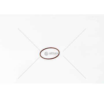 Seal Ring 8460.41/F1AE0481/CURSOR O-RING Iveco