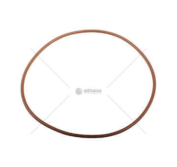 Seal Ring CURSOR 8/9 BUS - F2BE/F2CF/F3BE Iveco