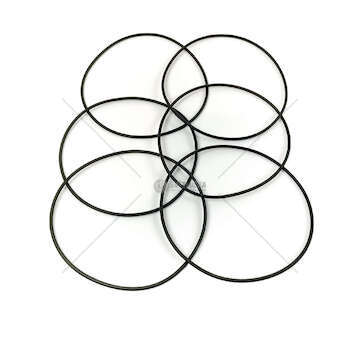 Seal Ring, cylinder liner DC 09.108-114 - P/G/R/T-SERIES FPM Elring