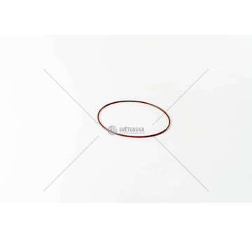 Seal Ring, cylinder liner F3GFE611A/B/D/E/F/G - STRALIS LOWER Iveco