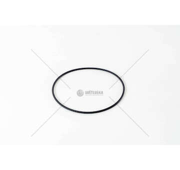 Seal Ring, cylinder liner F3GFE611A/B/D/E/F/G - STRALIS UPPER Iveco