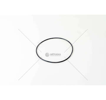 Seal Ring, cylinder liner GOMMINI CANNE 140 X 3.8 D.125 Victor Reinz