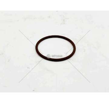 Seal Ring F1CE0481P - EUROTRAKKER O-RING Ø 46MM Iveco