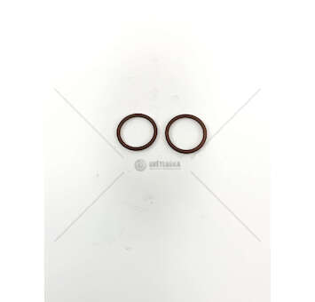 Seal Ring F2BE4682 - VT 031,34X3,53 Iveco