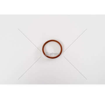 Seal Ring, injector EUROTRAKKER/EUROTECH VT 026,00X2,50 Mec-Diesel
