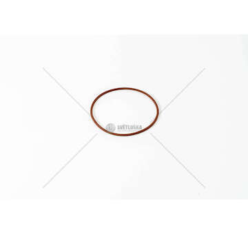 Seal Ring, injector F4AE/F4AF/F4HE - TECTOR/EUROFIRE Iveco