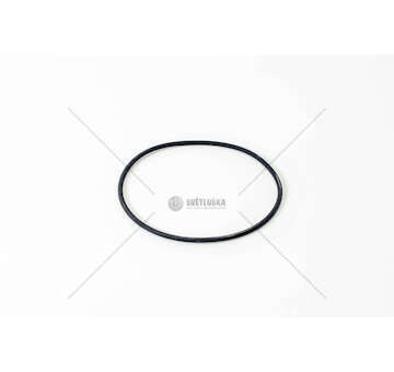 Seal Ring, injector O-RING Iveco