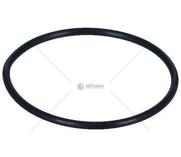 Seal Ring O-RING CURSOR 8/9 BUS Iveco