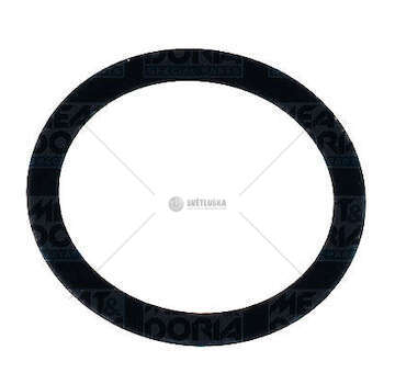 Seal Ring O-RING DIAM. 28,1 MM - SP. 3,5 MM Iveco