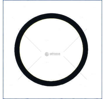 Seal Ring O-RING Iveco