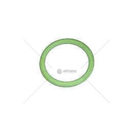 Seal Ring O-RING Iveco
