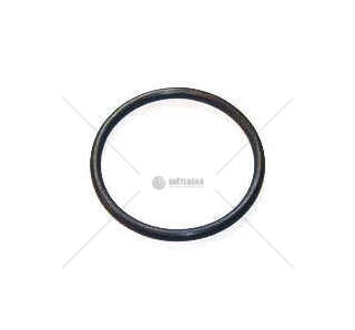 Seal Ring O-RING Iveco