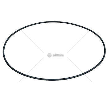 Seal Ring O-RING Iveco