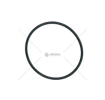 Seal Ring O-RING VT 055,24X2,62 Iveco