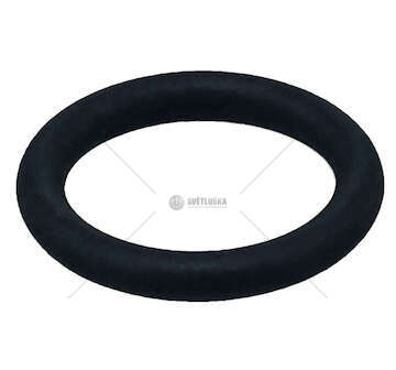Seal Ring TECTOR - F4AE/F4AF/F4HF Ø 13,11MM Iveco