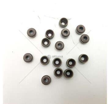 Seal Set, valve stem D4D/D4F - CLIO 1.2 16V/LOGAN II 1.2 Victor Reinz