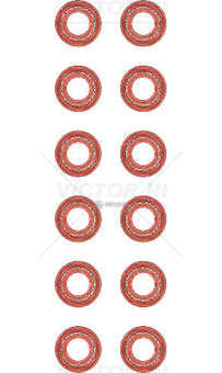 Seal Set, valve stem XE 250/280/315 - CF 85/XF 95 (SET 12PZ) Victor Reinz