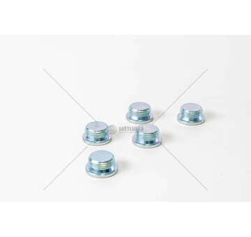 Sealing Plug, oil sump DUCATO Autobus (230)2.5 D Combinato Iveco