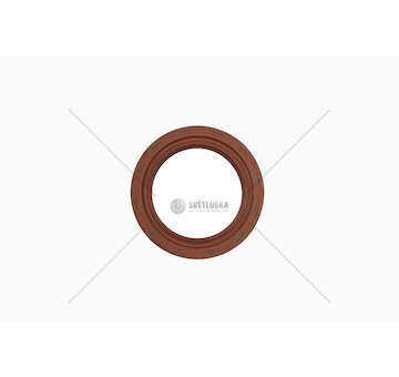 Shaft Seal, camshaft 50X70X10 - B1BAVISLSFRDX7 - Iveco
