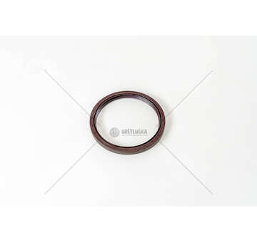 Shaft Seal, camshaft 8140.07.2700 - SOFIM FL100 100X118X10 Corteco