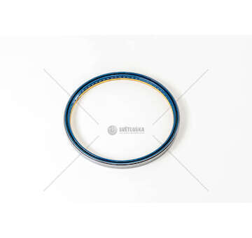 Shaft Seal, camshaft MOZZO RUOTA TRAKKER 180X200X13,4 Iveco