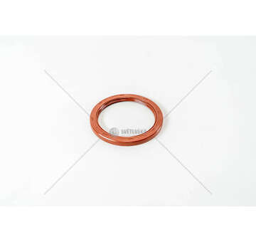Shaft Seal, crankshaft C1C/C1E/E7F/DBB - KANGOO/MEGANE/55 Victor Reinz