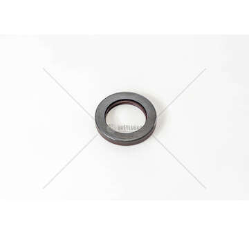 Shaft Seal, differential 60X90X13 - B2BAVISLDRWX7 - Iveco