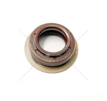 Shaft Seal, manual transmission 25x40x15 SP/AW FPM Elring
