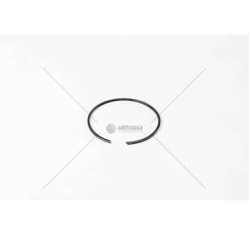 Shaft Seal, wheel hub ANELLO Iveco