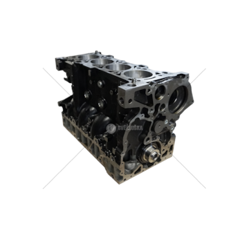 Shortblocks F1AFL411 - DAILY/DUCATO E6(BAS .IN GHISA) Mec-Diesel