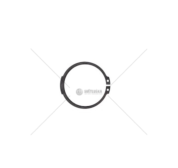 SICHERUNGSRING ZF 0630501067