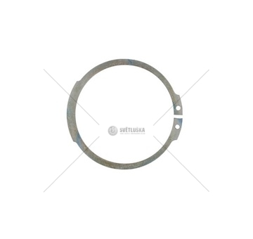 SICHERUNGSRING ZF 0630501141