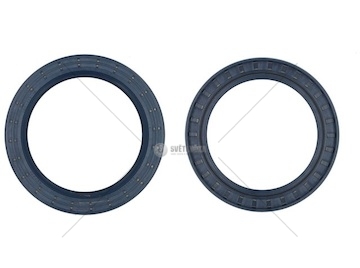 SIMERING PIASTY DAF 100X135X13/12 06826 647330