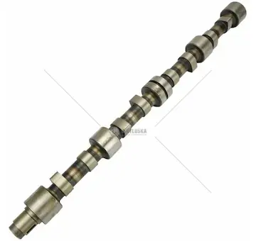 Sk hřídel vačkový | 83.004.501