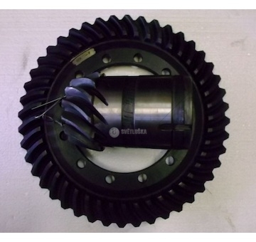 Soukolí kuželové Pravé Tatra