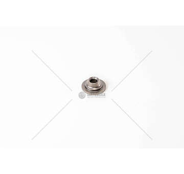 Spring Cap SCODELLINO VALVOLA EUROCARGO SUP. Iveco