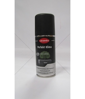 SRODEK DO KLIMATYZACJI AIR CLIM 100ML  64501101