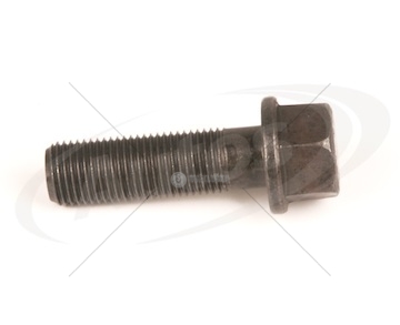 Šroub brzdového třmenu m20x2x60 rvi zn magnum dxi12/13, magnum e.tech  0107815_A