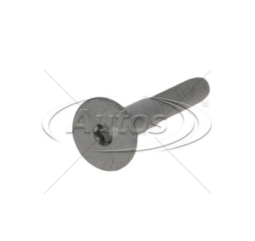 Šroub do podlahy imbus 8x55/ m8x1,25x30 návěsu krone 0207803_A