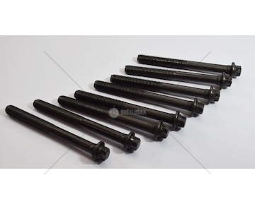 Šroub hlavy válce ELRING EL820245