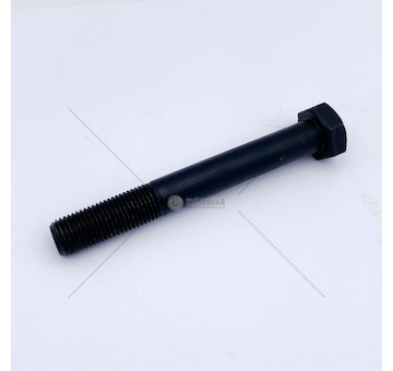 Šroub hlavy válců T L120 Avia A30, A31