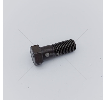 Šroub kardanu Avia M10x1,25