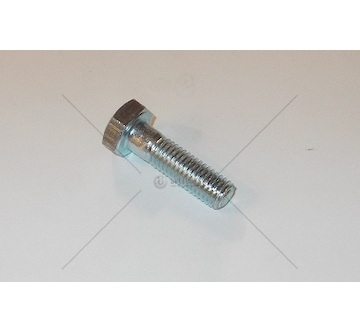 Šroub M10x35