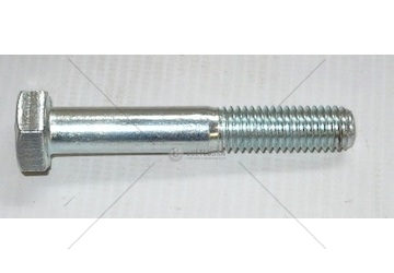 Šroub M10x65