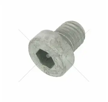 Šroub originál | 10179390