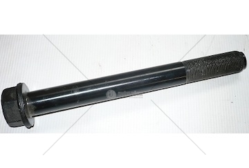 Šroub rámu EURO M22x210x1,5