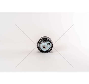 Tensioner Pulley, timing belt F1AE0481/3481 - DAILY/DUCATO Dayco