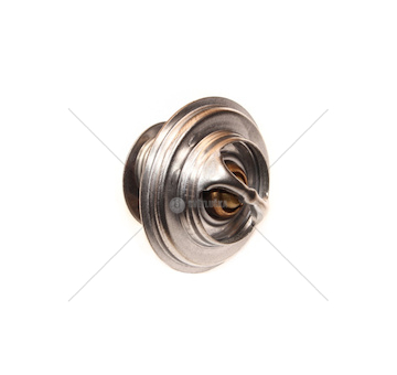 Termostat 78005077