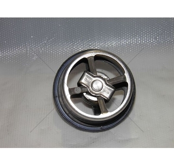 Termostat, chladivo CALORSTAT by Vernet THCT16957.82