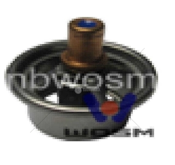 Termostat, chladivo WOSIMAN D-293